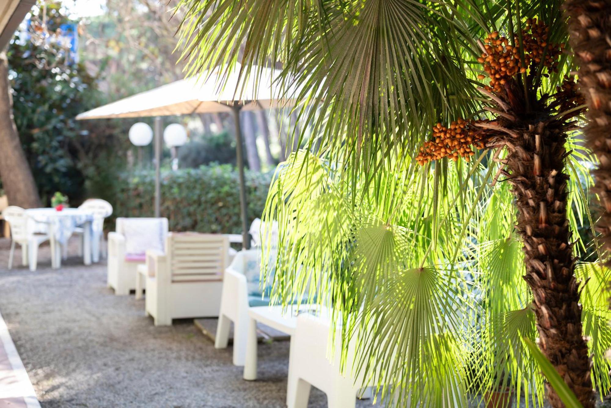 Hotel Parco Dei Pini - 100Mt Dal Mare Follonica Ngoại thất bức ảnh